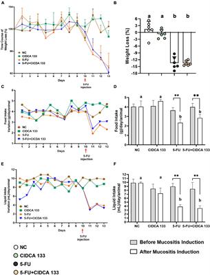 Lactobacillus delbrueckii CIDCA 133 Ameliorates Chemotherapy-Induced Mucositis by Modulating Epithelial Barrier and TLR2/4/Myd88/NF-κB Signaling Pathway